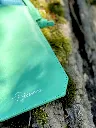 Pochette-téléphone-cuir-vert-clair-leather-phone-bag 2.webp